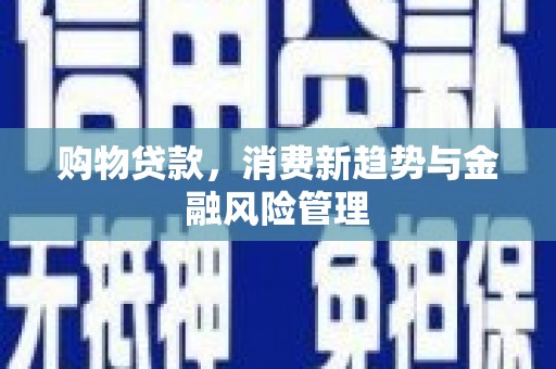 宁城购物贷款，消费新趋势与金融风险管理