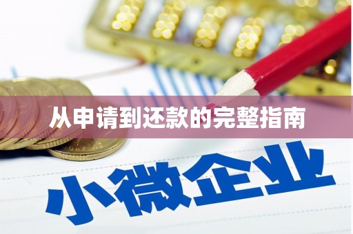 宁城从申请到还款的完整指南