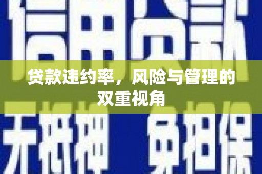 宁城贷款违约率，风险与管理的双重视角