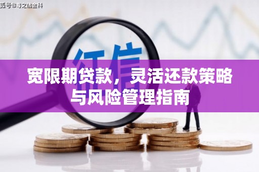宁城宽限期贷款，灵活还款策略与风险管理指南