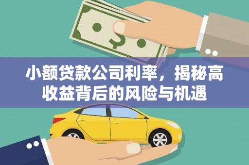 宁城小额贷款公司利率，揭秘高收益背后的风险与机遇