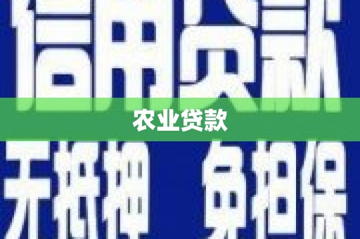宁城农业贷款