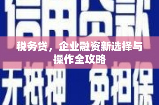 宁城税务贷，企业融资新选择与操作全攻略