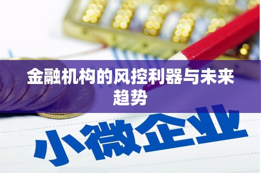 宁城金融机构的风控利器与未来趋势