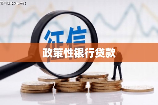 宁城政策性银行贷款