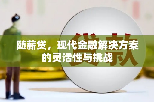 宁城随薪贷，现代金融解决方案的灵活性与挑战