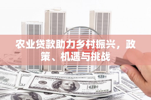 宁城农业贷款助力乡村振兴，政策、机遇与挑战