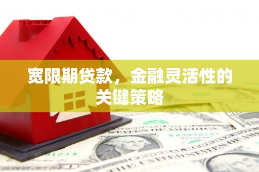 宁城宽限期贷款，金融灵活性的关键策略