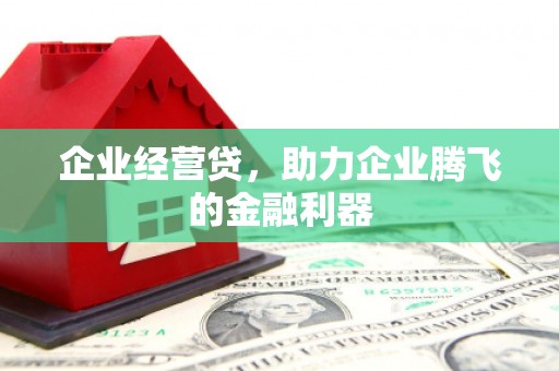 宁城企业经营贷，助力企业腾飞的金融利器