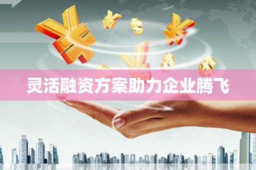 宁城灵活融资方案助力企业腾飞