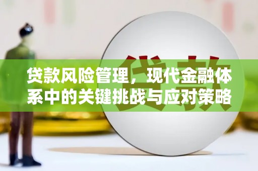 宁城贷款风险管理，现代金融体系中的关键挑战与应对策略