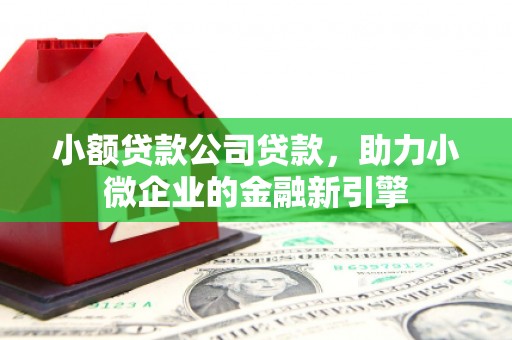 宁城小额贷款公司贷款，助力小微企业的金融新引擎