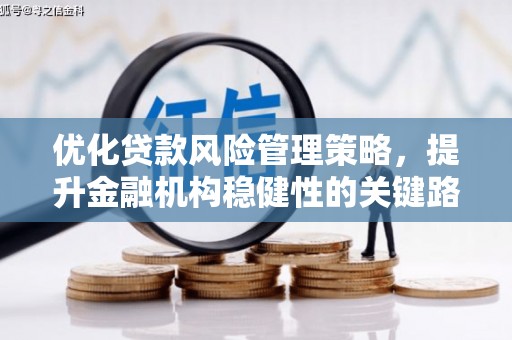 宁城优化贷款风险管理策略，提升金融机构稳健性的关键路径