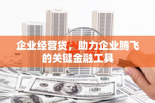宁城企业经营贷，助力企业腾飞的关键金融工具