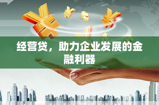 宁城经营贷，助力企业发展的金融利器