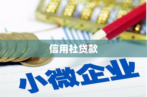 宁城信用社贷款