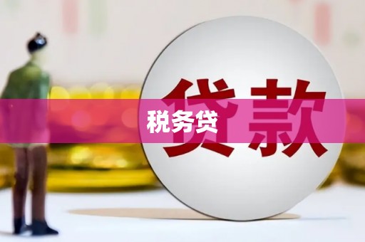宁城税务贷