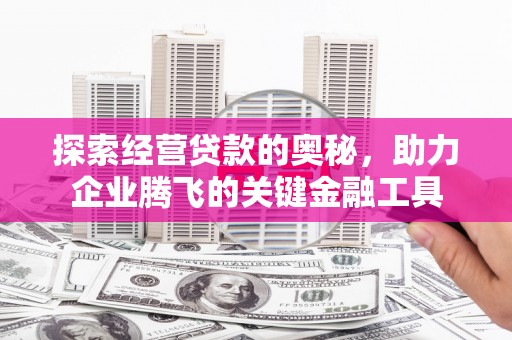 宁城探索经营贷款的奥秘，助力企业腾飞的关键金融工具