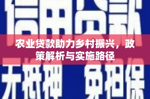 宁城农业贷款助力乡村振兴，政策解析与实施路径