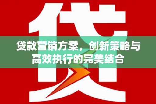 宁城贷款营销方案，创新策略与高效执行的完美结合