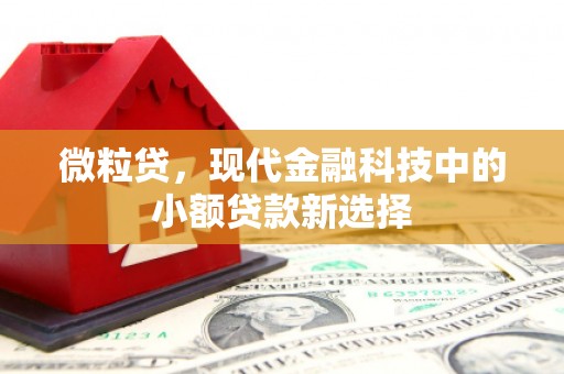 宁城微粒贷，现代金融科技中的小额贷款新选择