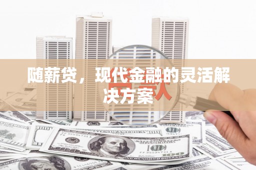 宁城随薪贷，现代金融的灵活解决方案