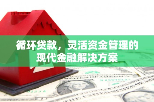 宁城循环贷款，灵活资金管理的现代金融解决方案