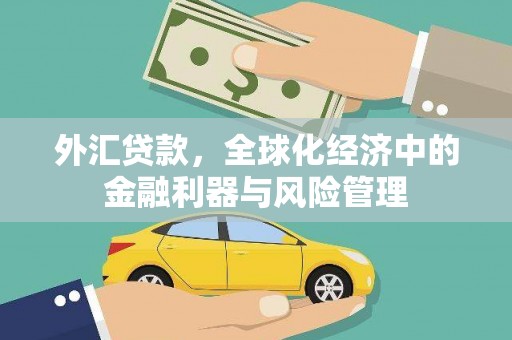 宁城外汇贷款，全球化经济中的金融利器与风险管理