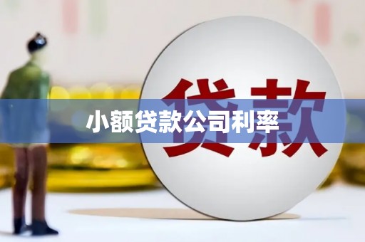 宁城小额贷款公司利率