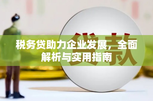 宁城税务贷助力企业发展，全面解析与实用指南