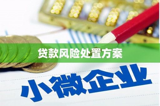 宁城贷款风险处置方案