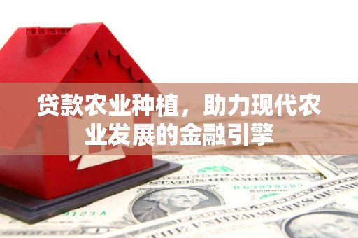 宁城贷款农业种植，助力现代农业发展的金融引擎