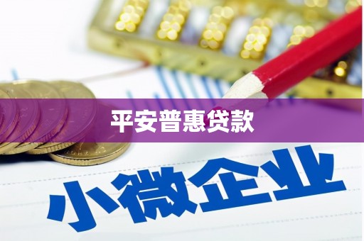 宁城平安普惠贷款