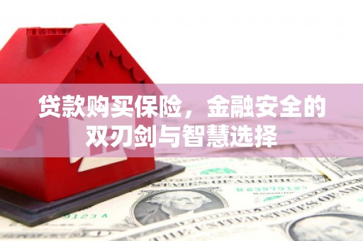 宁城贷款购买保险，金融安全的双刃剑与智慧选择
