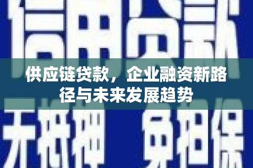 宁城供应链贷款，企业融资新路径与未来发展趋势