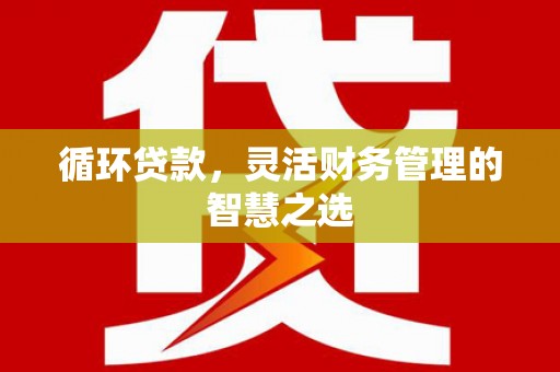 宁城循环贷款，灵活财务管理的智慧之选