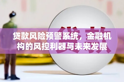 宁城贷款风险预警系统，金融机构的风控利器与未来发展