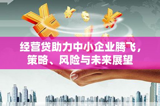 宁城经营贷助力中小企业腾飞，策略、风险与未来展望