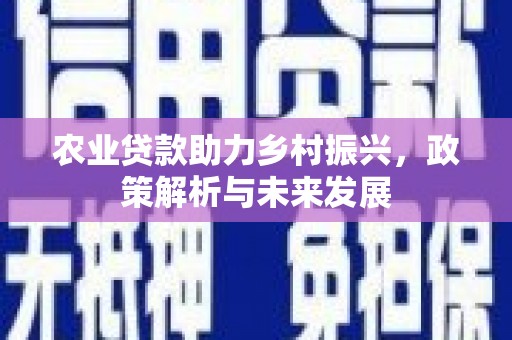 宁城农业贷款助力乡村振兴，政策解析与未来发展