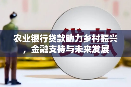 宁城农业银行贷款助力乡村振兴，金融支持与未来发展