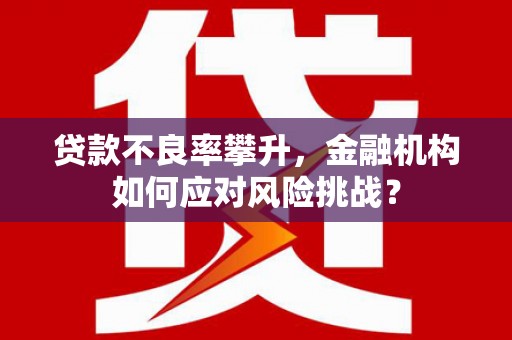 宁城贷款不良率攀升，金融机构如何应对风险挑战？