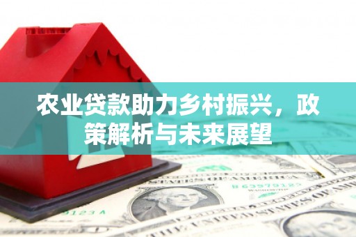 宁城农业贷款助力乡村振兴，政策解析与未来展望