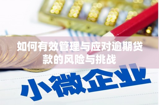 宁城如何有效管理与应对逾期贷款的风险与挑战