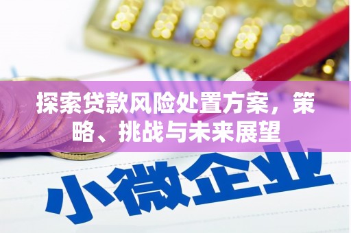 宁城探索贷款风险处置方案，策略、挑战与未来展望