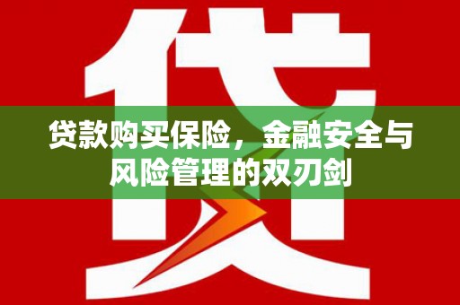 宁城贷款购买保险，金融安全与风险管理的双刃剑