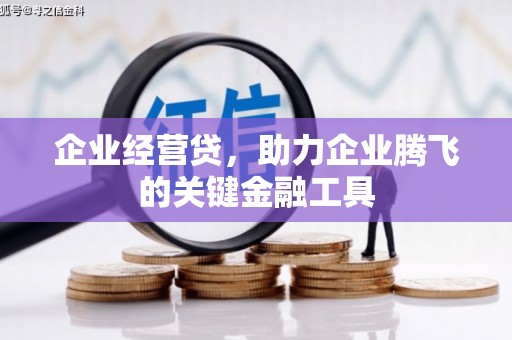 宁城企业经营贷，助力企业腾飞的关键金融工具