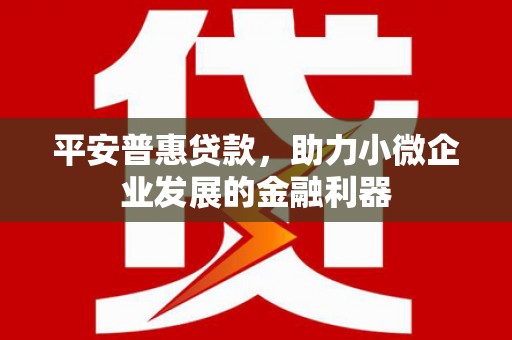 宁城平安普惠贷款，助力小微企业发展的金融利器