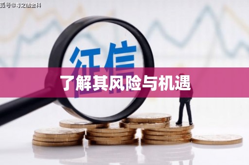 宁城了解其风险与机遇