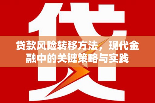 宁城贷款风险转移方法，现代金融中的关键策略与实践