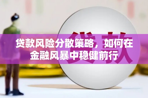 宁城贷款风险分散策略，如何在金融风暴中稳健前行